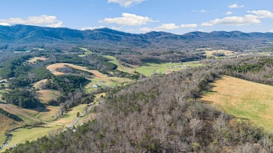4-web-or-mls-DJI_0486