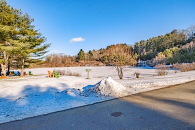 Pond View
