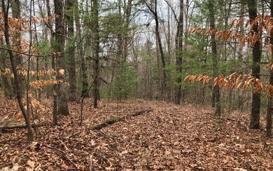 17AC Lakewood Hwy, Mineral Bluff, GA 30559 - photo 3