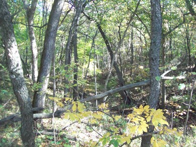 16403 County Road 1525 E, Princeton, IL 61356 - photo 3