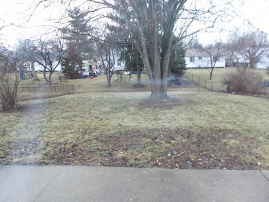 Large Back Yard.JPG