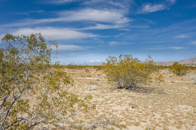 132 California Ave, Joshua Tree, CA 92252 - photo 7