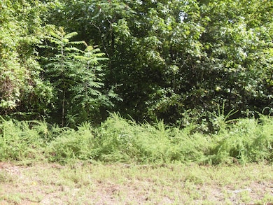 016 Loblolly Ln, Tunnel Hill, GA 30755 - photo 4