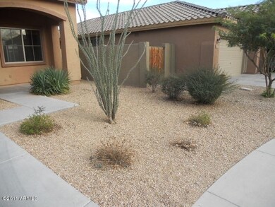 023-245205 front yard