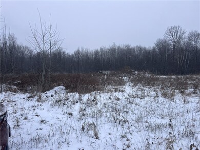 TBD Sound County Line, Clear Lake, WI 54005 - photo 5