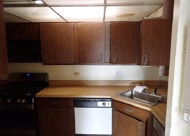 Park of River Oaks unit 211, Calumet City, IL 60409 - photo 3