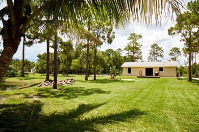JRL_BackYard_018