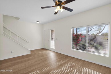 8-web-or-mls-P1054850