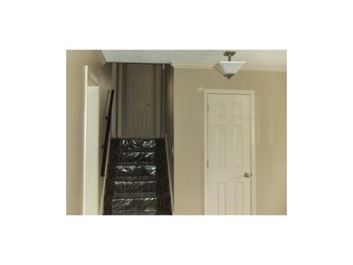 Gorgeous new stair carpet!