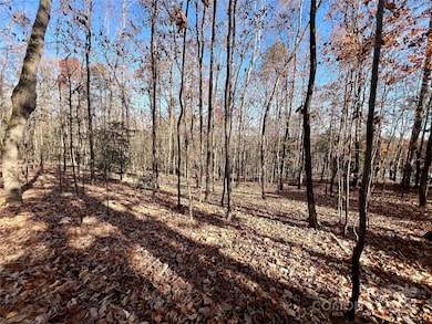 000 Sam Poole Ln, Taylorsville, NC 28681 - photo 5