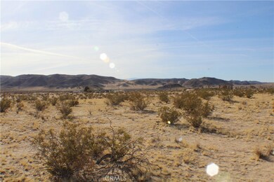 4499 Pearl Springs Ave, Twentynine Palms, CA 92277 - photo 5