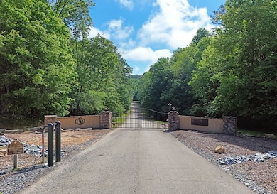 Lt 24 Winding Creek Rd, Blue Ridge, GA 30513 - photo 3