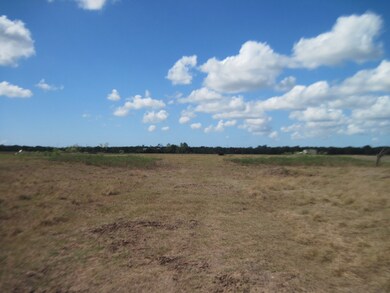 308 County Road 416, Brazoria, TX 77422 - photo 2