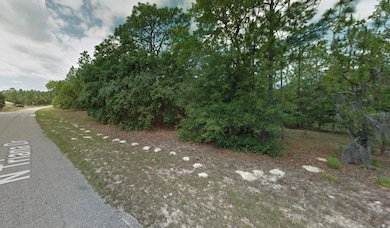 8116 N Triana Dr, Citrus Springs, FL 34434 - photo 2