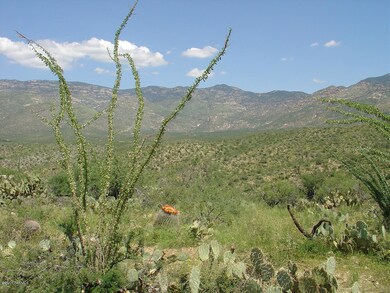7301 S Red Hill Rd unit 84, Vail, AZ 85641 - photo 3