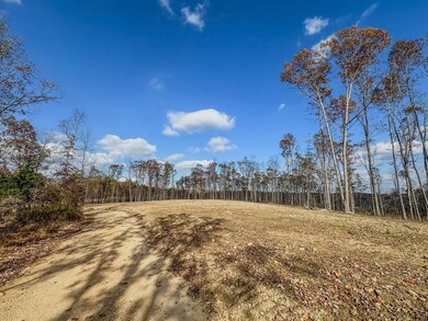 0 Firetower Rd unit 2, Centerville, TN 37033 - photo 5