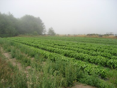 29822 68th Ave NW, Stanwood, WA 98292 - photo 3