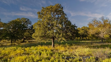 000 E Hackley Rd, Perrin, TX 76486 - photo 4