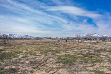 2155 Tucker Ln, Cortez, CO 81321 - photo 7