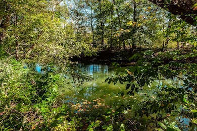 0 W Harper Rd unit RTC3031920, Portland, TN 37148 - photo 4