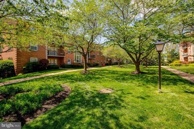 3330 Spring Ln unit D36, Baileys Crossroads, VA 22041 - photo 3