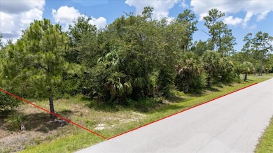 26469 Brooks Rd, Punta Gorda, FL 33955 - photo 3