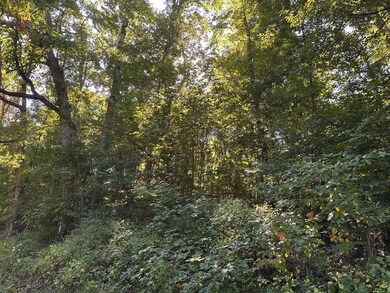 00 E Division Rd, La Porte, IN 46350 - photo 4