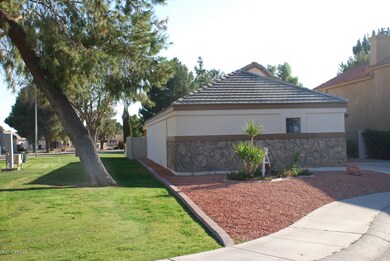 Front View