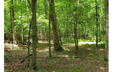 Additional View