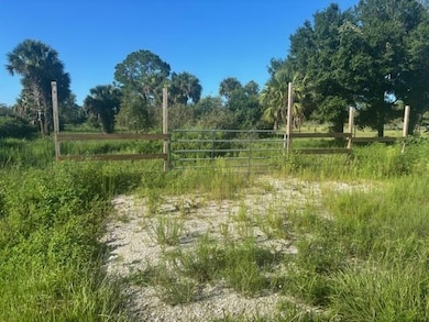19216 NW 300th St, Okeechobee, FL 34972 - photo 2