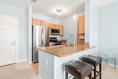 3 Repton Cir unit 3207, Watertown, MA 02472 - photo 5