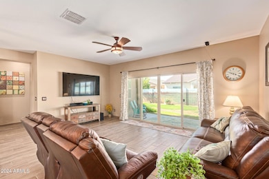 1314 W Buckeye Tree Ave, San Tan Valley, AZ 85140 - photo 7