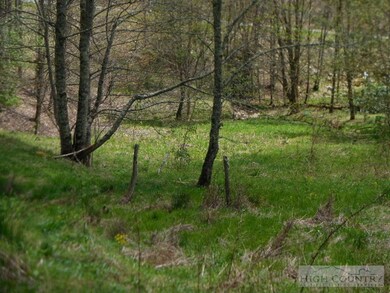 Meadow