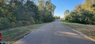 Lot 23