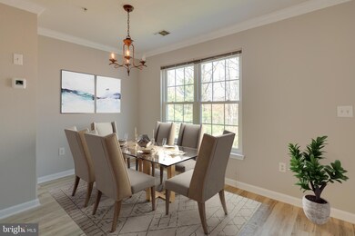 4526 Superior Square unit 4526, Fairfax, VA 22033 - photo 6