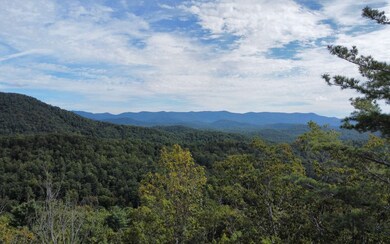 11758 Chatsworth Hwy, Ellijay, GA 30540 - photo 7