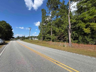 TBD Mount Olive Rd, Loris, SC 29569 - photo 6