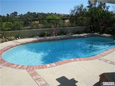 Pool & patio