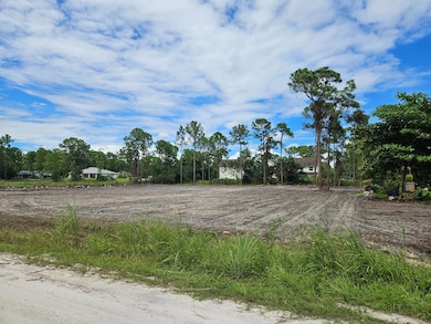 Xxxxx 86th St N, the Acreage, FL 33470 - photo 2