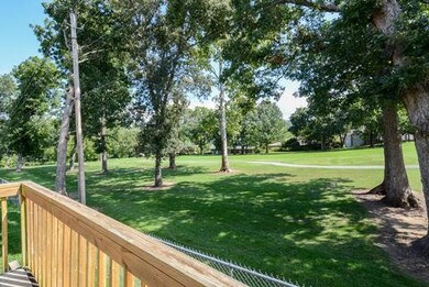Summer Shot from Deck
