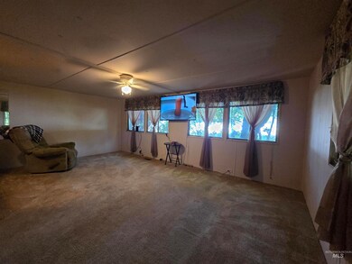Carpeted spare room with healthy amount of natural light and ceiling fan
