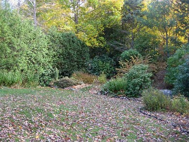 Yard/Garden.