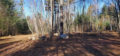 0-36 Bear Paw Trail unit 36, Littleton, NH 03561 - photo 4