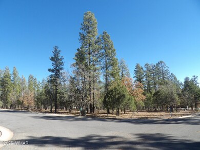 2534 S Aspen Run, Pinetop, AZ 85935 - photo 4