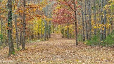 2020 Upper Rinehart Rd, Dandridge, TN 37725 - photo 4