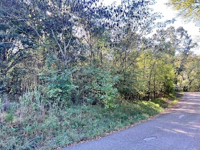 0 Cemetery Rd, Michie, TN 38357 - photo 3