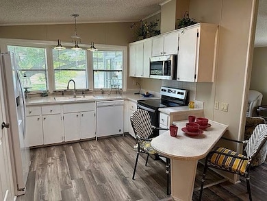 19 Horseshoe Falls Dr, Ormond Beach, FL 32174 - photo 2