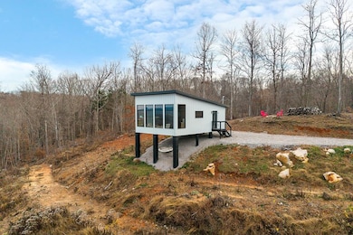 431 Bald Knob Mountain and Cummings Cove Rd, Doyle, TN 38559 - photo 2