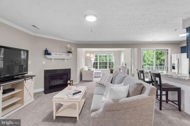 6509 Springwater Ct unit 6303, Frederick, MD 21701 - photo 7