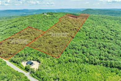 Approximate Boundary Lines of both lots (Trask Mountain & Center Street)